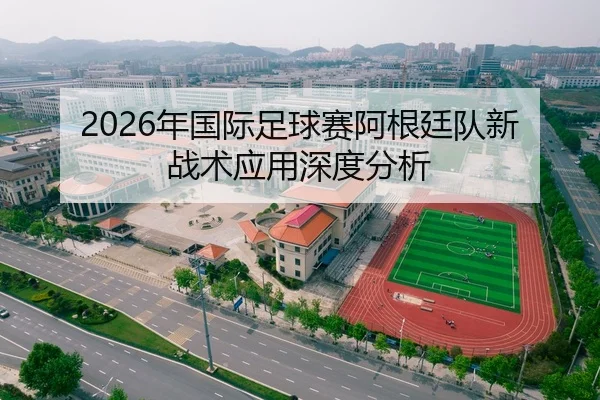 2026年国际足球赛阿根廷队新战术应用深度分析
