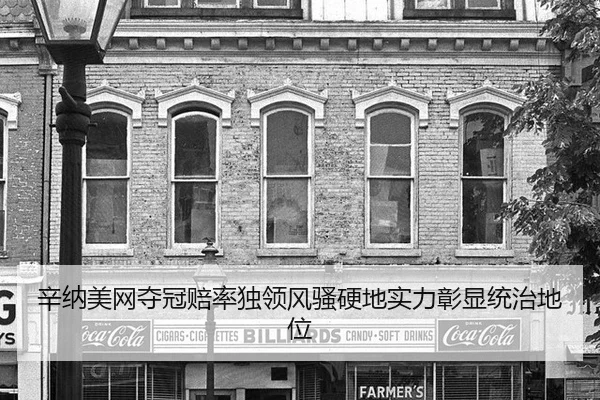 辛纳美网夺冠赔率独领风骚硬地实力彰显统治地位