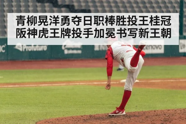 青柳晃洋勇夺日职棒胜投王桂冠阪神虎王牌投手加冕书写新王朝